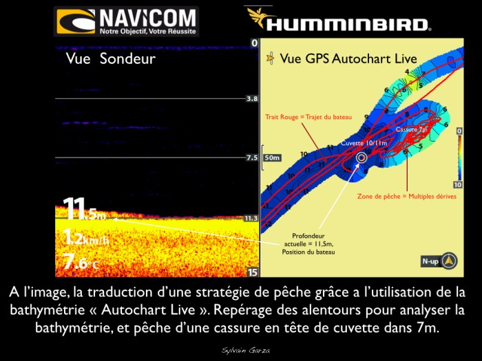 strategie-autochart-live-001